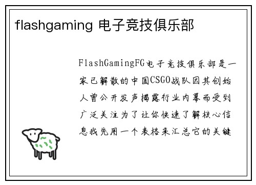 flashgaming 电子竞技俱乐部